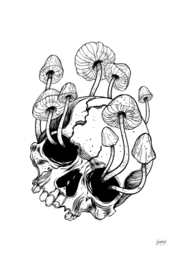 Overgrown skull. Mushrooms. Death - Life