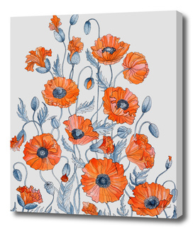Poppies watercolor