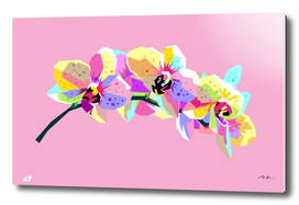 colorful flowers pop art wpap