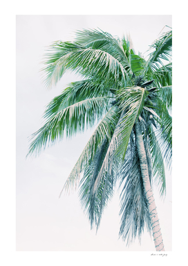 Tropical Palm Finesse #4 #tropical #wall #decor #art