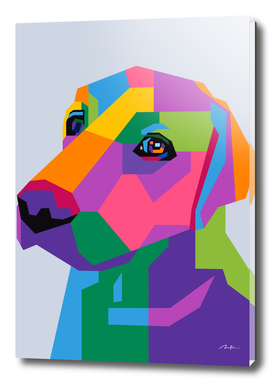 Shy Dog colorful pop art