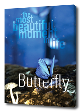 The Most beautiful moment in life: Butterfly