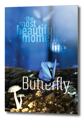 The Most beautiful moment in life: Butterfly