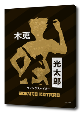 Bokuto Kotaro - HAIKYUU (ANIME)