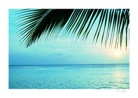 Caribbean Sunset Ocean Palm Dream #2 #tropical #beach