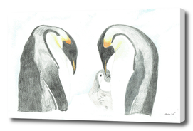 Penguine family