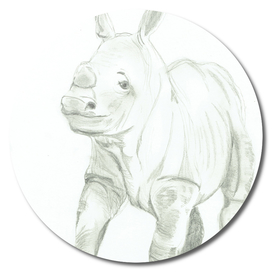 Rhino baby