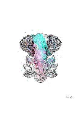 elephant in the lotus