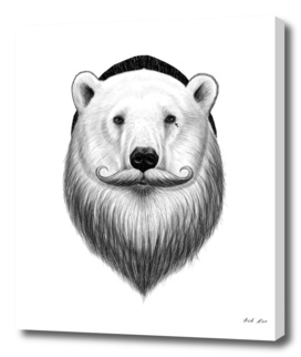 bearded polar bear