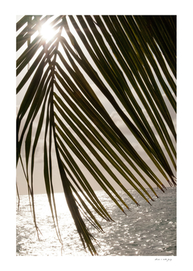 Tropical Sunset Ocean Palm Dream #1 #tropical #beach #wall