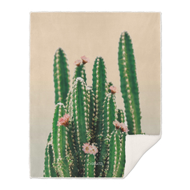 Flowered Cactus