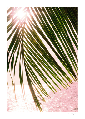 Tropical Sunset Ocean Palm Dream #2 #tropical #beach #wall