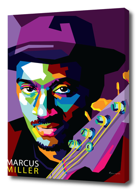 Marcus Miller in WPAP
