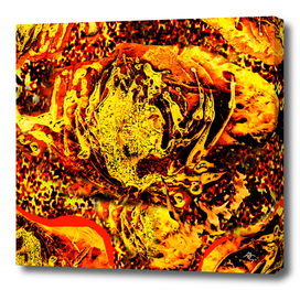 fire flowers lava abstract