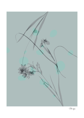 Transparent flowers, Bea Yourself, 2016