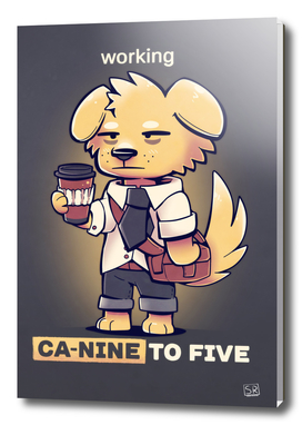 Working CaNINE to FIVE