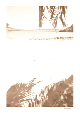 Beige palm shade on beach