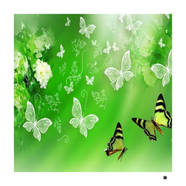 nature Butterflies