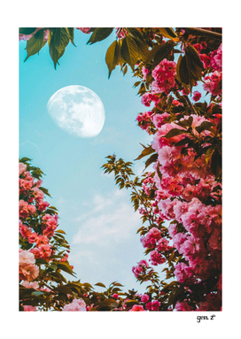 Aesthetic Pink Flowers Moon