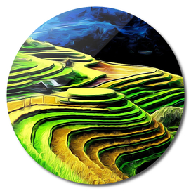 Rice Fields relief progressive steps cultivated marqu