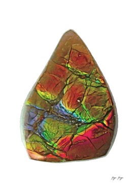 Ammolite Opal-like Organic Gemstone Eastern Slopes