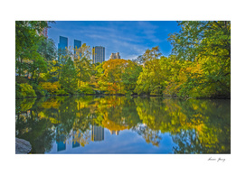 Central Park In the Fall