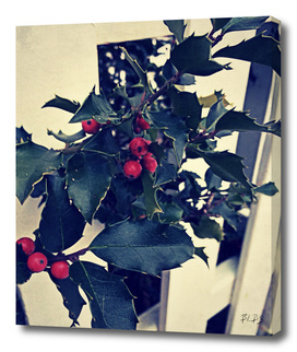 Vintage Holly on Picket Fence