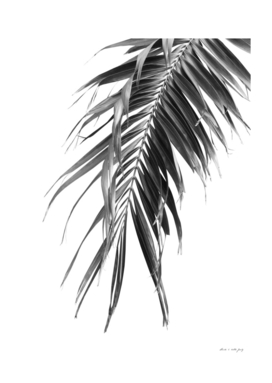 Palm Leaf Jungle - Cali Summer Vibes #1 #tropical #decor