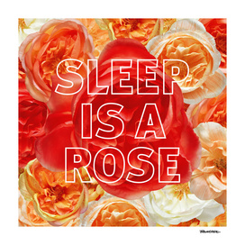 Sleep is a Rose