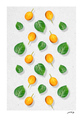 Passion fruit and leaf by #Bizzartino