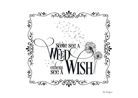 Some See a Weed Others See a Wish