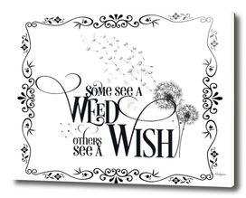 Some See a Weed Others See a Wish