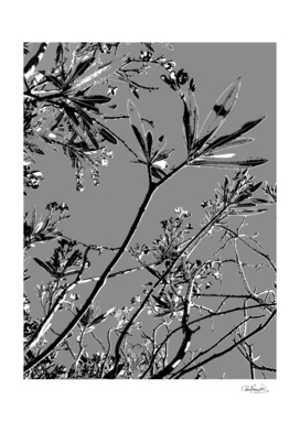 Grey Colors Flowers and Branches Illustration Print