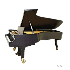 Grand Piano Acoustic Stringed Coated Elegant Lord Aud