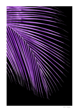 Minimal Purple Black Palm Leaf Dream #1 #tropical #wall
