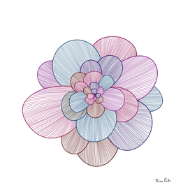 Colorful Light Flower