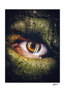 Eye of the tree