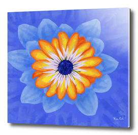 Orange and Blue Exotic Flower