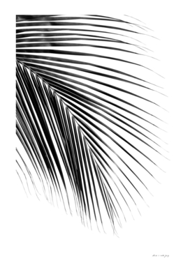 Minimal Black & White Palm Leaf Dream #1 #tropical #wall