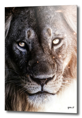 Portrait of the Lion King
