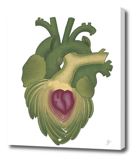 artichoke  heart