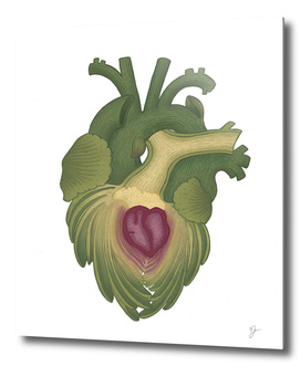 artichoke  heart