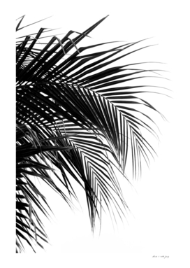 Tropical Black & White Palm Leaves #1 #tropical #wall