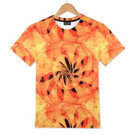 burnt coral, warm, orange, wheel, monochrome, minimalism,