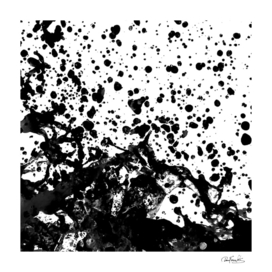 Black and White Abstract Liquid Design
