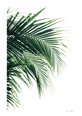Tropical Green Palm Leaves #1 #tropical #wall #decor #art