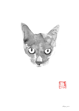 grey cat 03