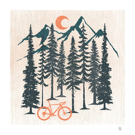 Moon and Bike