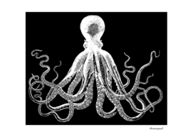 Octopus Black White