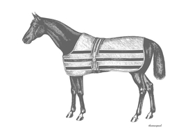 HORSE GREY